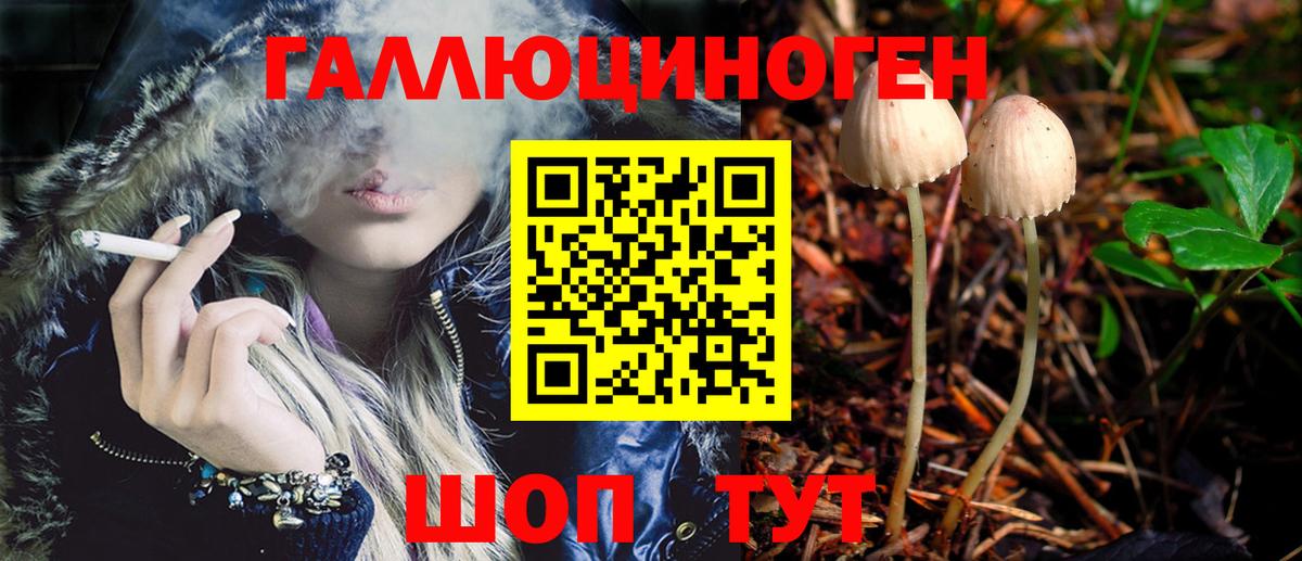 Галлюциногенные грибы MAGIC MUSHROOMS  Вход с VPN  Сергиев Посад  Галлюциногенные грибы GOLDEN TEACHER 
